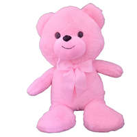 YWU Plüss maci 45 cm