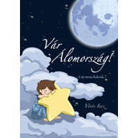 Magánkiadás Vár Álomország - Esti mese fiúknak