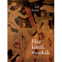 Prae.hu Kft Ház körüli munkák