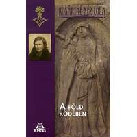 Kráter Műhely Egyesület A föld ködében