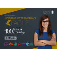 Maxim Könyvkiadó Pratique de vocabulaire Facile - 400 francia szókártya