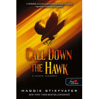 Könyvmolyképző Kiadó Call Down the Hawk - A sólyom nyomában - Álmodók-trilógia 1.