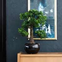 Emerald Emerald zöld mini fikusz bonsai műnövény 47 cm