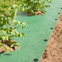 vidaXL vidaXL Műanyag Tüskék 100 pcs Fekete 3 x 11 cm Műanyag