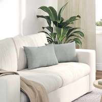 vidaXL vidaXL Kanapé párnák 2 pcs Világosszürke 50 x 30 cm Bársonyos szövet