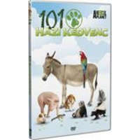 Neosz Kft. 101 Házi kedvenc - DVD