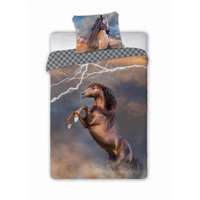 Ábránd Lovas ágyneműhuzat, Villám, 140x200 + 70x90 cm (003)