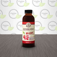 Green Blood Kombucha koncentrátum MEGGYEL - 500 ml