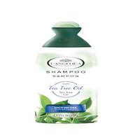 Langelica Langelica sampon teafaolaj 250 ml