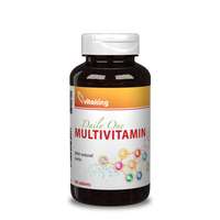  Vitaking Daily One Multivitamin (90)
