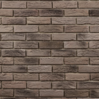 Fabrostone Fabrostone Velence 23,5-24x6-7x1-2 cm 4. színkód burkolókő