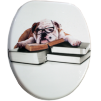 Quadrat QUADRAT BULLBOOK WC-ÜLŐKE, MDF, FÉM ZSANÉRRAL, MINTÁS