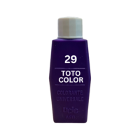 Casati Color CASATI COLOR TOTOCOLOR VIOLETTO T29 15ML