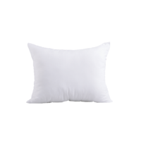 Naturtex NATURTEX FAMILIA KISPÁRNA 40X50 CM 300 G