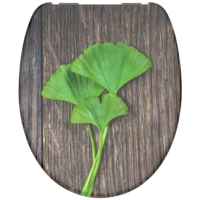 Eisl EISL GINKO&WOOD WC-ÜLŐKE, DUROPLASZT, MŰANYAG ZSANÉR,LECSAPÓDÁSGÁTLÓS,MINTÁS