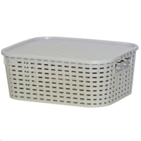 Márka nélkül / Without brand RATTAN MINTÁZATÚ KOSÁR TETŐVEL 5L BÉZS