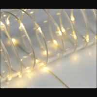 Márka nélkül / Without brand FÉNYFÜZÉR BELTÉRI 40 LED MELEG FEHÉR 200CM LED TÁVOLSÁG:5CM