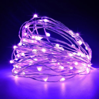 Eurolamp EUROLAMP TÜNDÉRFÉNY MINI 100 LED, LILA, IP44, KÜL- ÉS BELTÉR