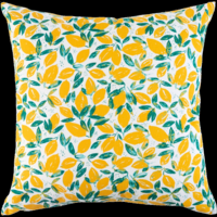 Mistral Mistral Díszpárna Limone small 45x45cm