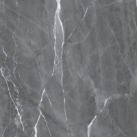 Márka nélkül / Without brand Armani 60x60cm fényes szürke kültéri fagyálló gres padlólap