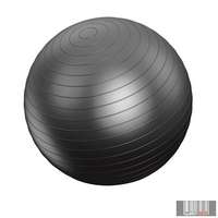 Vivamax Vivamax gimnasztikai labda 85 cm GYVGL85