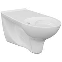 Delabie Akadálymentes fali WC hosszított kinyúlással, higiénés nyílás és perem nélkül, hátsó kifolyású, kerámia, fehér, 700 mm