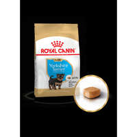 Royal Canin Royal Canin Yorkshire Terrier Junior 500g-Yorkshire Terrier kölyök kutya száraz táp