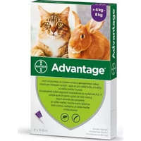 Advantage Advantage Spot On 4 kg felett 4 db