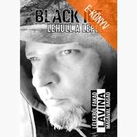 Gyémántfelhő Kiadó Black Ice: Lehull a lepel (e-könyv)