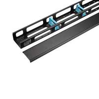 WP WP 42U vertical cable management with cap for RNA & RSB 800mm wide rack WPN-ACM-504-B