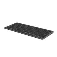 Rapoo Rapoo UCK-6001 Keyboard Grey HU 00226412