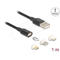 DeLock DeLock Magnetic USB Charging Cable Set for 8 Pin Lightning / Micro USB / USB Type-C 1m Black 88165