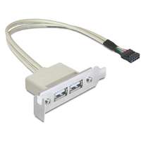 DeLock DeLock Slot konzol USB 2.0 low profile 2 port 83119