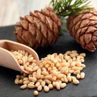 GreenMark Bio Fenyőmag 1 kg GreenMark XXL