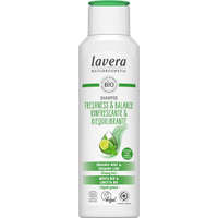 Lavera H sampon Freshness and Balance zsíros hajra 250 ml Lavera