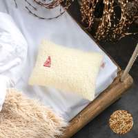 Prána Párna 30x40 cm Juhéj párna