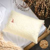 Prána Párna 50x70 cm Juhéj párna