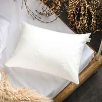 Prána Párna 50x70 cm Huzat Aloe Vera