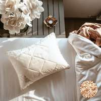 Prána Párna 40x50 cm Luxury Tönkölyhéj párna