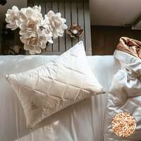 Prána Párna 50x70 cm Luxury Tönkölyhéj párna