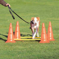 Trixie Trixie Sporting Obstacle Set - agility akadály (ugró akadály) kutyák részére (Ø30cm x 50/100cm)