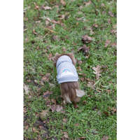 Trixie Trixie Rainbow Falls hoodie - kapucnis pulóver (szürke,mintás) kutyák részére (S) 33cm
