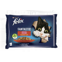Mars-Nestlé Felix Fantastic (marha,csirke) aszpikban (4x85g)