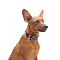 WAU DOG WAUDOG collar NASA21 - nyakörv (QR kódos, NASA21 dizájn, müa.csatt) kutyák részére (24-40cm/20mm) M