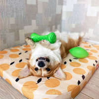 PitchDog PitchDog Safe And Durable Barbell-Shaped Dog Toy - játék (súlyzó,lime) kutyák részére (Ø7cm/19cm)