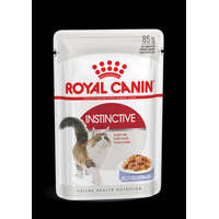 Royal Canin Royal Canin Feline Adult (Instictive Jelly) - alutasakos (hús, kocsonya) eledel macskák részére (85g)