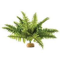 Hagen Exo-Terra Rainforest Plant Boston Fern Medium - Terráriumi műnövény dekoráció (szoba páfrány) cca.20cm