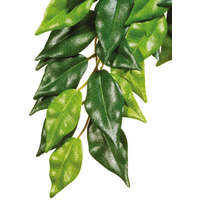 Hagen Exo-Terra Silk Plant Ficus Large - Terráriumi selyem műnövény dekoráció (Fikusz) cca.60cm
