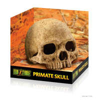Hagen Exo-Terra Primate Skull - főemlős koponya formájú búvóhely hüllők részére (12cm)