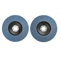 <p><img src="https://aktiv.unas.hu/shop_ordered/70227/pic/einhell.jpg" /></p> Einhell Csiszolótárcsa 2 db 150 K 40/80